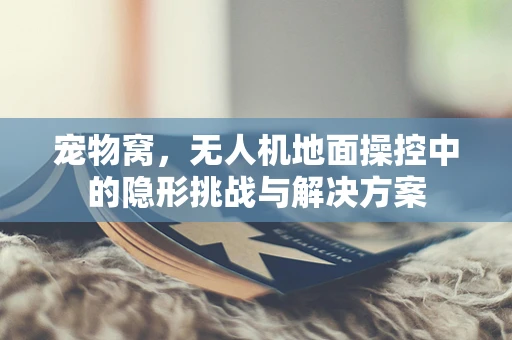 宠物窝，无人机地面操控中的隐形挑战与解决方案